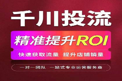 SEM外包策略在电商平台的成功案例